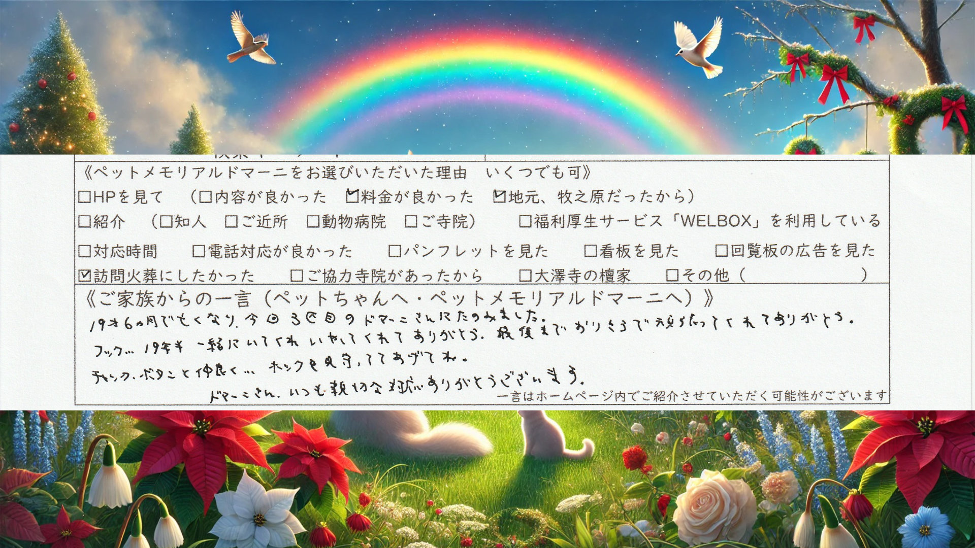 ダウンロード (3)