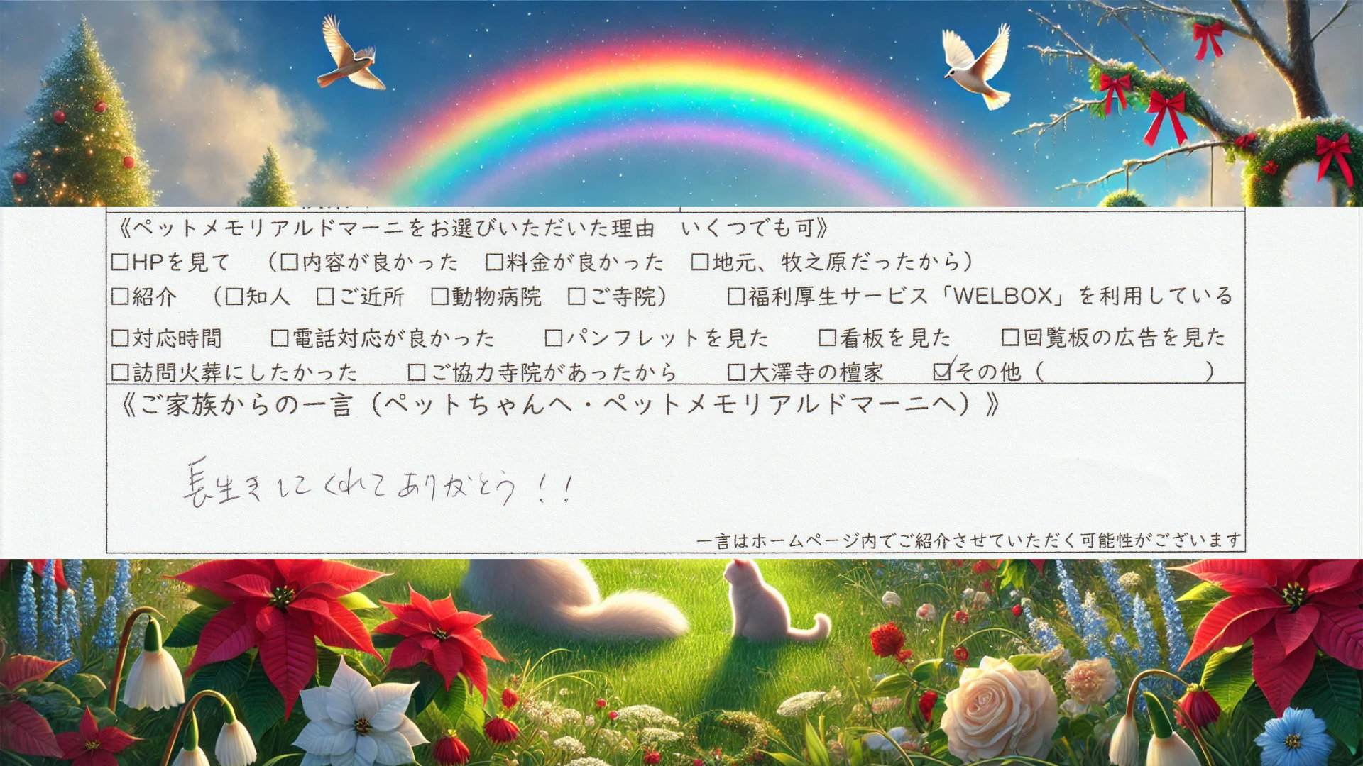 ダウンロード (3)